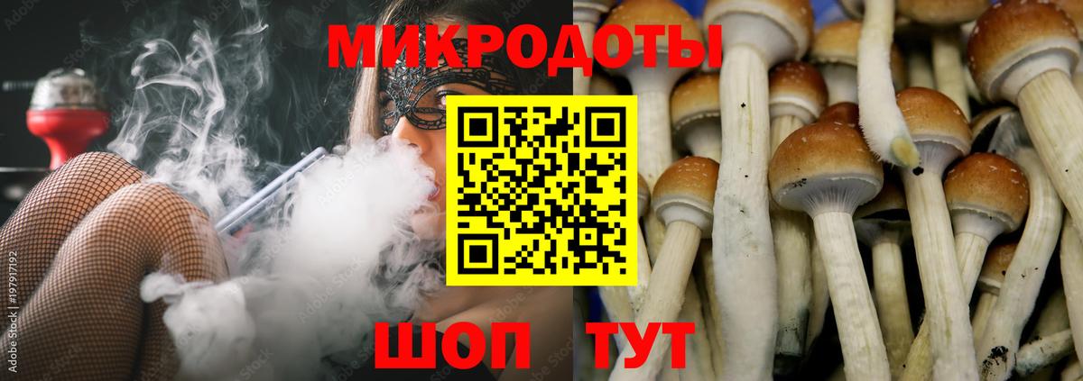Галлюциногенные грибы Magic Shrooms  Псилоцибиновые грибы мицелий  Вход с VPN  Жигулёвск 